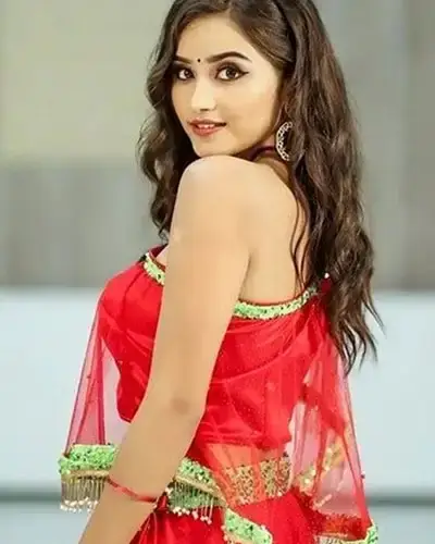 Call Girls Service Nokha